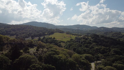 Nature photography and some fossils in the Sierra de Alvarez in San Luis Potosí, Mexico © mario