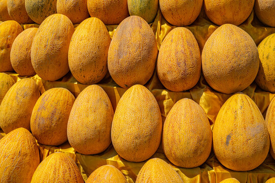 collection of fresh ripe yellow melons