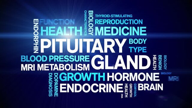 Pituitary Gland animated word cloud-animation tag kinetic typography seamless loop.