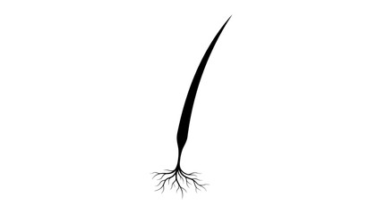 Black feather icon, feather silhouette, bird feather illustration, vector feather graphic Vector © Mst