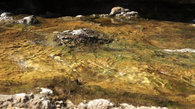 the view of a small natural stream or water puddle flowing through cracked and weathered brown stone boulders, showcasing detailed geological textures.