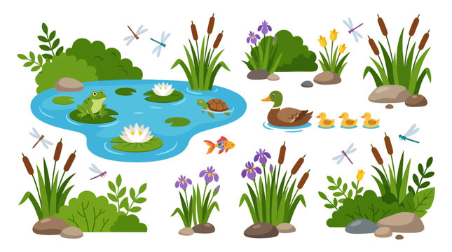 Vibrant pond scene with ducks, frog, turtle, fish, and dragonflies.