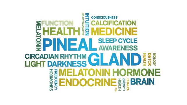 Pineal Gland animated word cloud-animation tag kinetic typography seamless loop.