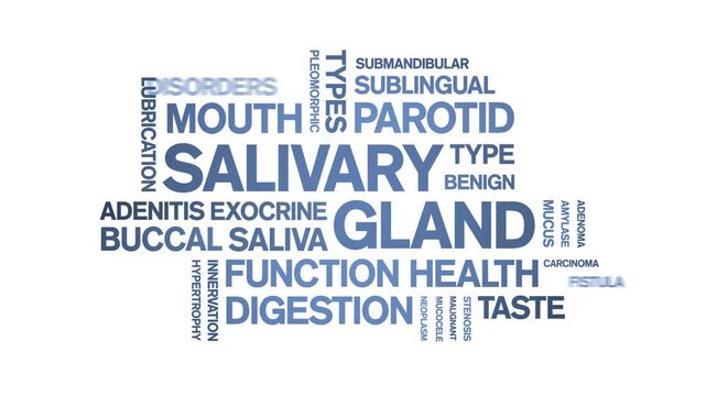 Salivary Gland animated word cloud-animation tag kinetic typography seamless loop.