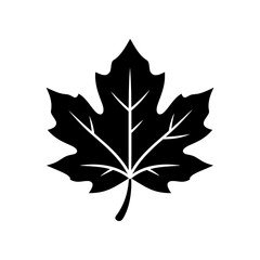 Fototapeta premium Autumn Leaf icon featuring a classic fall leaf silhouette. Perfect for seasonal designs, harvest themes, Thanksgiving projects, and nature-related branding.