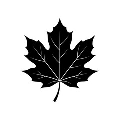 Fototapeta premium Autumn Leaf icon featuring a classic fall leaf silhouette. Perfect for seasonal designs, harvest themes, Thanksgiving projects, and nature-related branding.