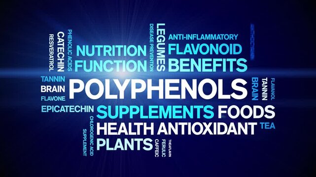 Polyphenols animated word cloud-animation tag kinetic typography seamless loop.