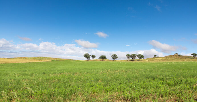 Farmland Cowra - NSW Australia. Located in central NSW this is a productive agricultural area.