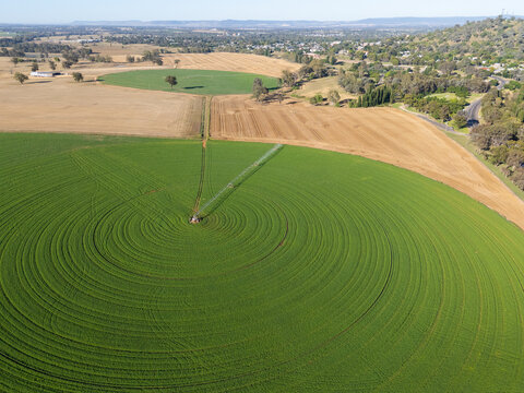 Irrigated farmland - Cowra NSW Australia. Aerial view of centre pivot irrigation.