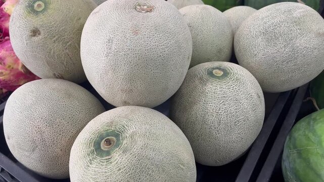 Close up of fresh cantaloupe melons with organic net texture skin on display