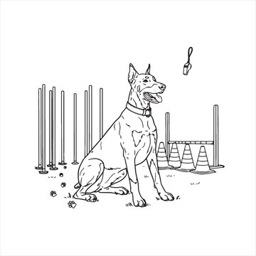 Doberman dog sitting at a pet agility training course Vector