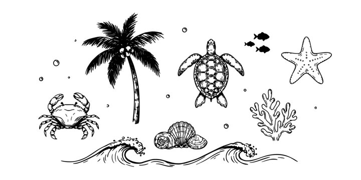 Turtle and Marine Tropical Elements Icon Set on White Background, Hand-Inked Style with Palm Tree, Starfish and Coral