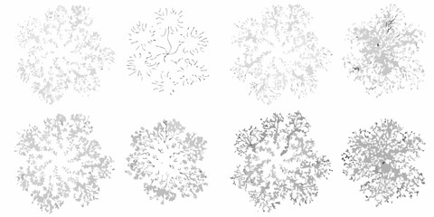 collection of eight hand drawn shrubs and bushes on white background illustration botanical vegetation plants nature landscape garden gray sketch © Ranajit