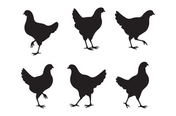 Fototapeta premium Chicken silhouettes black shapes on a white background
