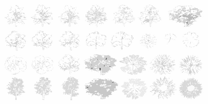 set of fifteen hand drawn trees on white background illustration botanical nature sketch silhouette forest landscape graphic design pattern artwork