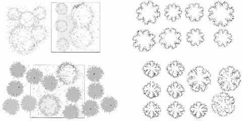 hand drawn shrub and bush illustration with various shapes hand drawn landscape vegetation botanical sketch drawing natural plants greenery outdoor garden © Pabitra