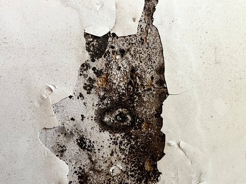 Close-up shot of heavily weathered white wall with peeling paint exposing dark rusty metal surface beneath