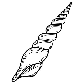 detailed spiral seashell icon isolated on white background outline vector illustration