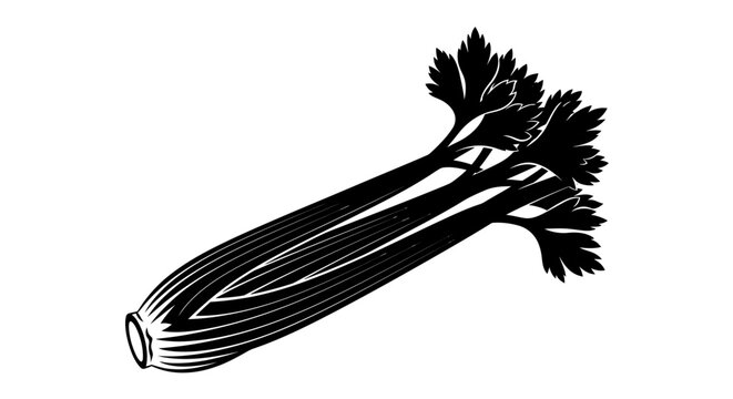 Black and white vector illustration of celery stalks and leaves isolated on white background for design with vector illustrations displays black