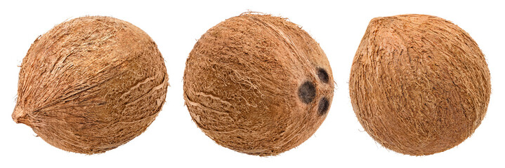 Obraz premium Set of tropical whole coconuts, isolated on transparent cutout background