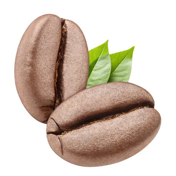 Two roasted coffee beans with fresh green leaves, isolated on transparent cutout background