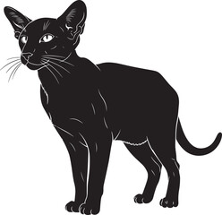 Black cat standing on white background with large ears and whiskers looking alert and curious with sleek fur and sharp claws visible © Mofizul