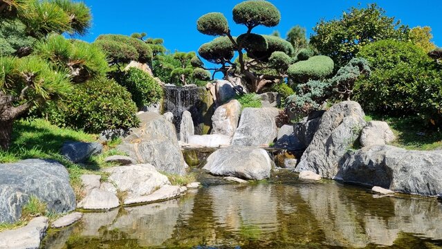 Scenic oriental garden featuring trimmed bonsai trees, decorative pond, and stone waterfall under blue sky.