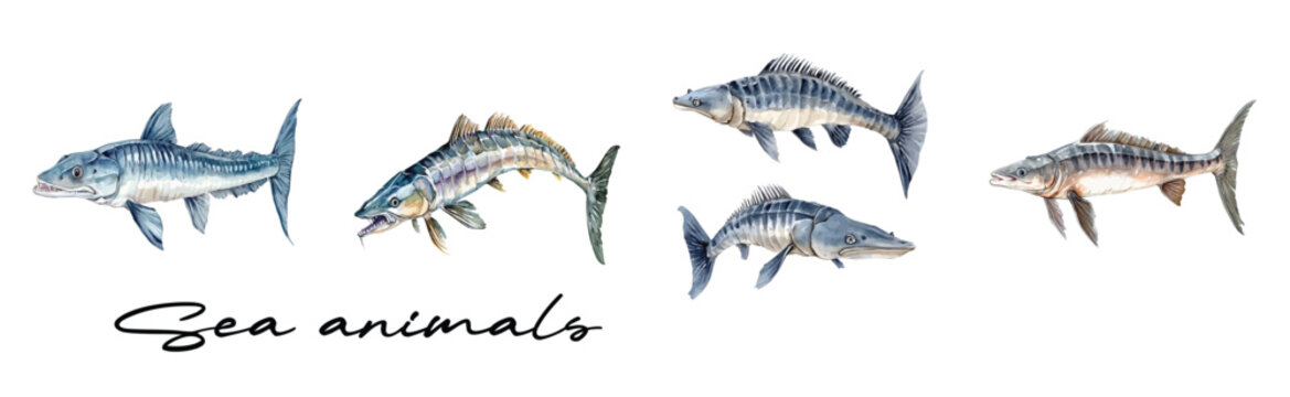 Art Minimal yet artistic elements for creative designs. hand-drawn paint isolated on a white background, Simple Illustration, A creative painting of sturgeon fish set, Cute design