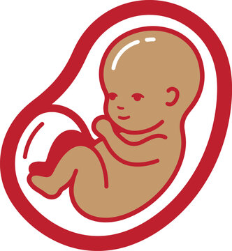 Fetus in the womb: a baby inside a woman's womb. Graphics Pro Vector.	
