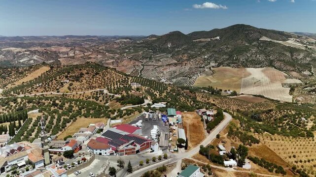 Aerial view of olive groves and countryside surrounding Olvera, Andalusia, Spain