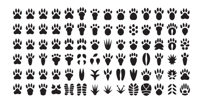 Diverse Set of Animal and Bird Footprint Silhouettes on White Background