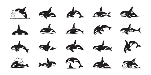 Orca whale silhouette collection in various swimming and jumping poses © Shohag