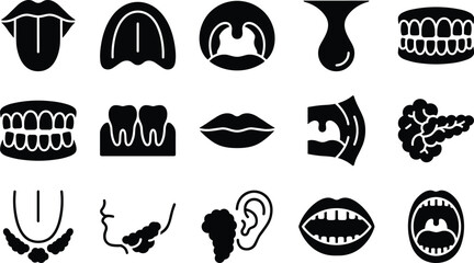 Set of black and white human anatomy icons representing mouth tongue teeth lips and glands for medical healthcare illustration and dental clinic design elements © love you ma