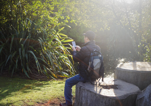 Back-lit image of a man sitting in the tree trunk and checking his smart phone.