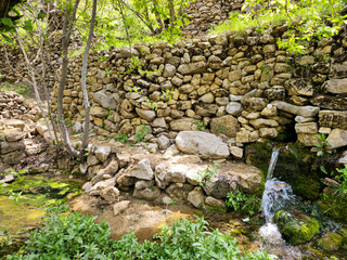 A natural spring cascades over moss-covered stones into a pool beside a dry stone wall, surrounded by lush spring plants in a shaded setting. 📍 Hawraman Takht, Kurdistan, Iran  © Hawraman83