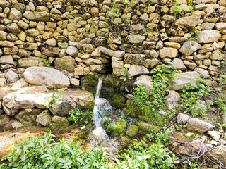 A natural spring cascades over moss-covered stones into a pool beside a dry stone wall, surrounded by lush spring plants in a shaded setting. 📍 Hawraman Takht, Kurdistan, Iran  © Hawraman83