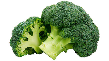 Fresh green broccoli florets and stems cut in half © Lubos