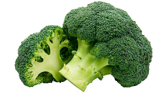 Fresh green broccoli florets and stems cut in half