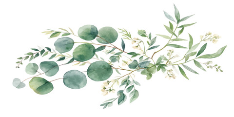 Watercolor painting of eucalyptus branches with wild flowers eucalyptus watercolor botanical painting illustration isolated decoration © Manjur