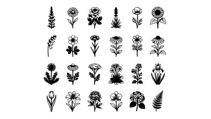 Fototapeta premium Flower Illustration Set with Black Ink Botanical Drawings Featuring Wildflowers, Leaves, Stems, and Detailed Flora Silhouettes