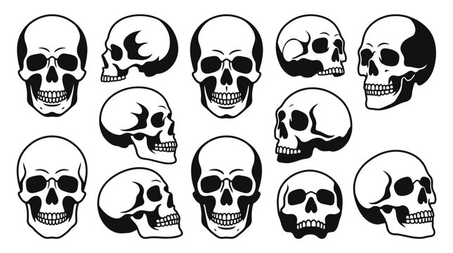 Minimalist flat design collection of twelve human skull icons in multiple perspectives like front, side, and three-quarter view, black and white vector graphic set.