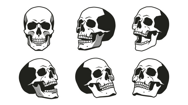 Set of six monochromatic human skull illustrations in various angles including front view, side profile, and open mouth, featuring flat design graphic style on white background.