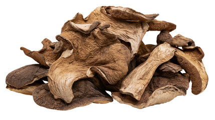 Dried Porcini Mushrooms Pile © Isolde
