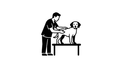 Fototapeta premium Veterinarian examining a dog on table.