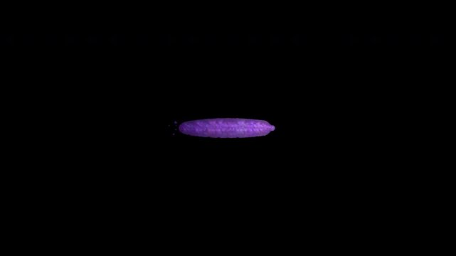 Hand Painted Purple Minus Mark Animated Video Overlay 4K