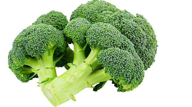 Fresh green broccoli florets and stems