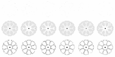 top down tree plan views vector illustration on white background view landscape architecture design silhouette pattern nature © Debashis