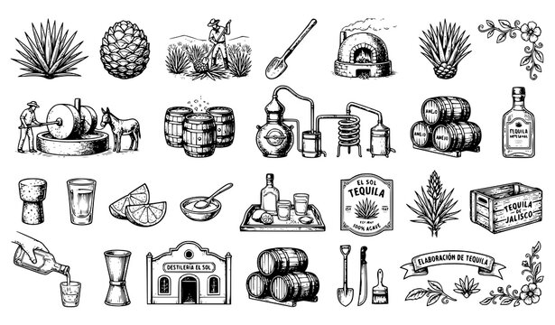 Vintage Black and White Tequila Production Sketch Collection Featuring Agave Harvest Distillation and Artisan Beverage Vector Art