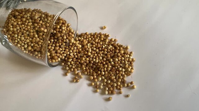 close up of a bowl of cereal
