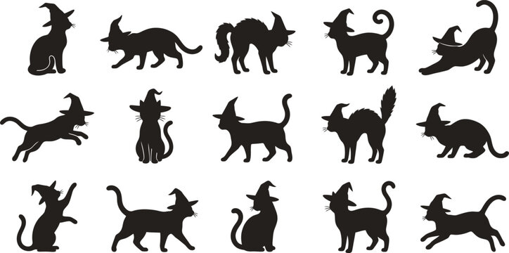 Halloween Witch Cat Silhouette Vector Bundle With Black Feline Clipart Collection For Cricut SVG PNG EPS AI DXF Printable Craft Design